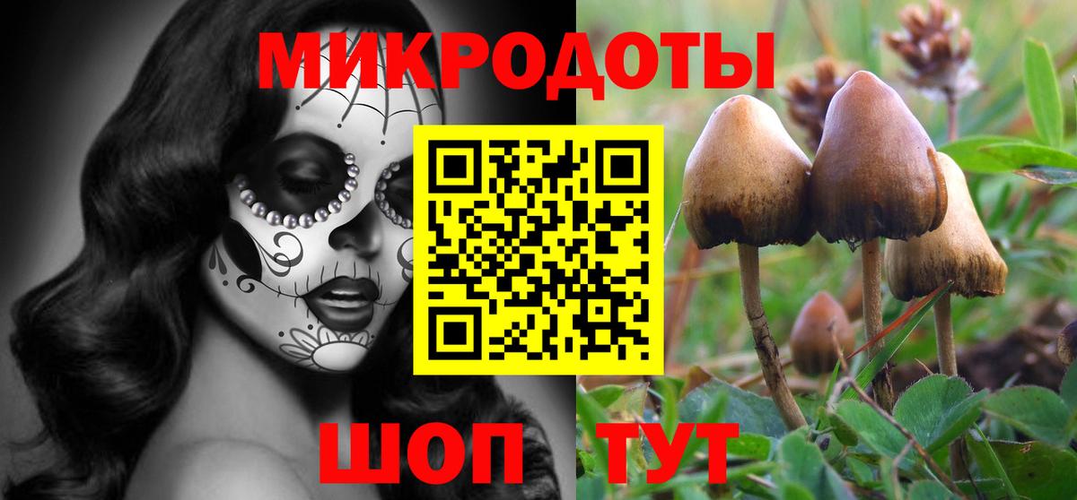 Галлюциногенные грибы мухоморы Владимир