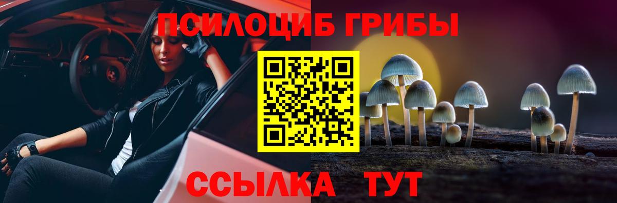 Псилоцибиновые грибы GOLDEN TEACHER  Вход с VPN  Владимир 